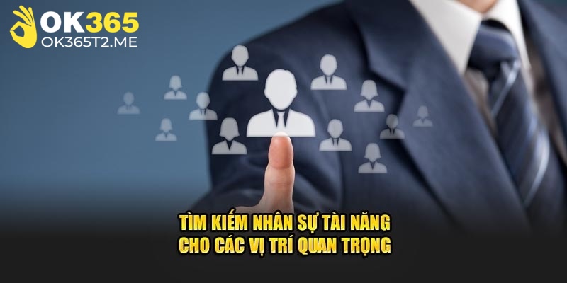 Quy trình ứng tuyển tại ok365