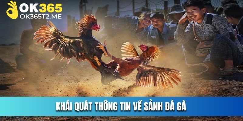 Sảnh chơi quy tụ nhiều trận chiến cực HOT đa dạng hình thức thi đấu