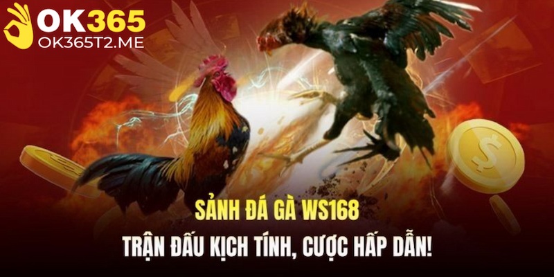 Sảnh đá gà WS168 sở hữu chất lượng hình ảnh xịn mịn