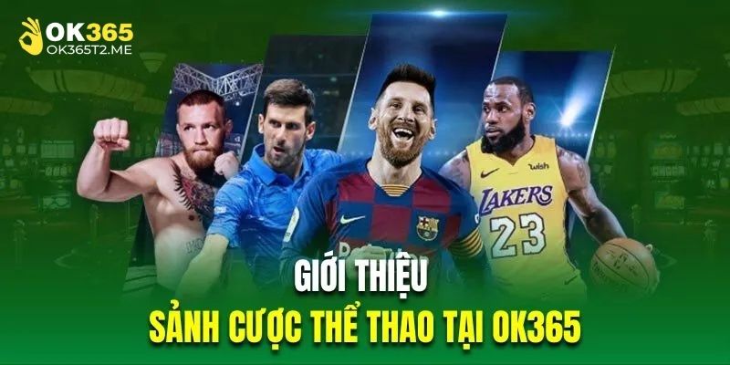 Đôi nét giới thiệu về sân chơi thể thao ok365