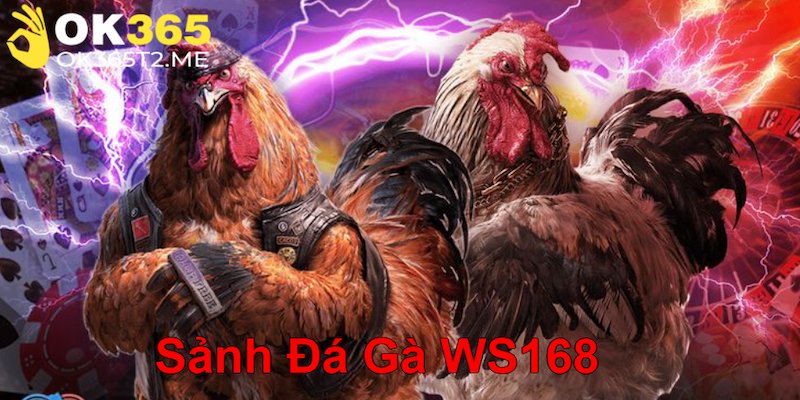 Thông tin khái quát nhanh về Sảnh đá gà WS168