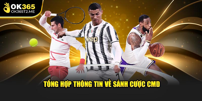 Tổng hợp thông tin về sân chơi giải trí hot hit nhất hiện nay 